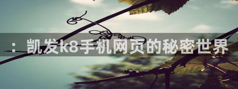 新宝5app下载安装