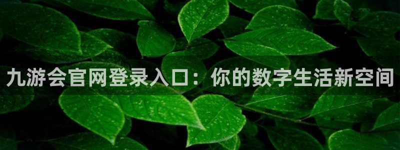 壹号电子娱乐app下载安装