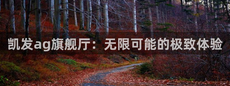 壹号平台app下载安装