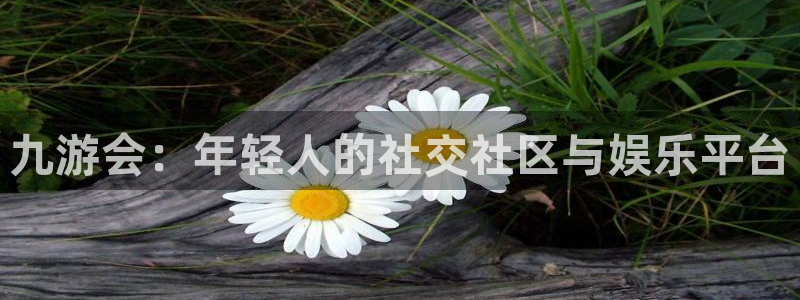壹号app官网版下载