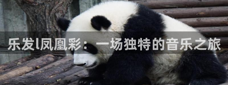 壹号大舞台