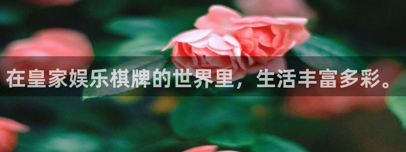 壹号下载官网入口