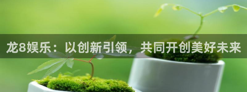 新宝5.com