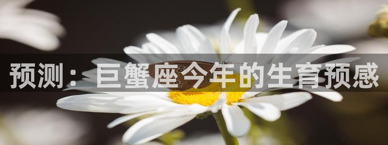 壹号平台娱乐