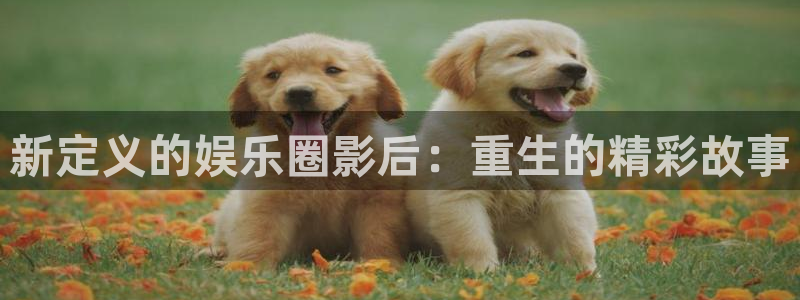 新宝5app下载安装