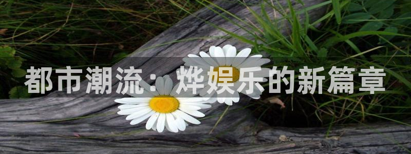 伟德国际集团 壹号(one game)