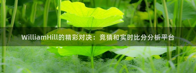 新宝5电子游戏官网