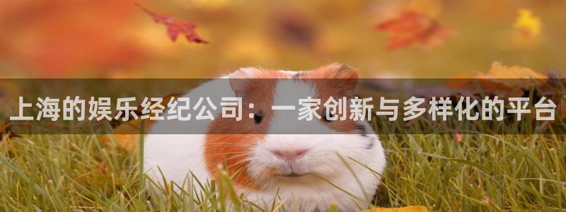 新宝5app