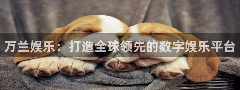 新宝5官方网站下载