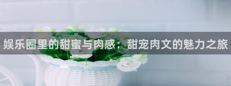新宝5,apk