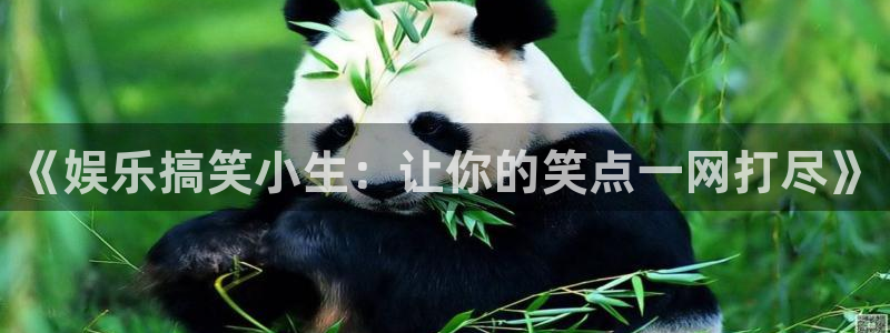 新宝5网站：《娱乐搞笑小生：让你的笑点一网打尽》