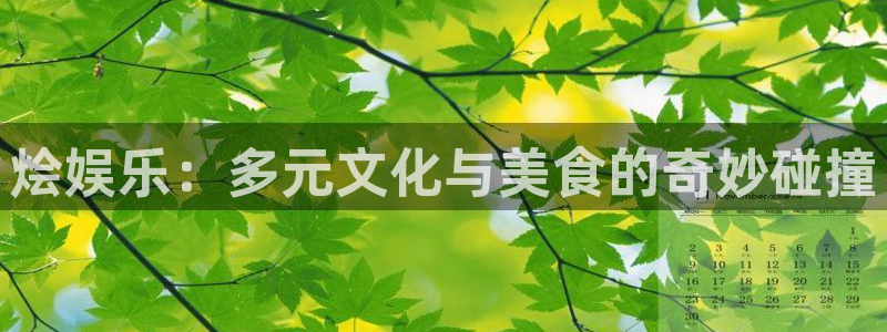 新宝5app下载安装：烩娱乐：多元文化与美食的奇妙碰撞