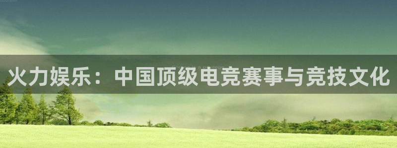 壹号大舞台娱乐传媒：火力娱乐：中国顶级电竞赛事与竞技文化
