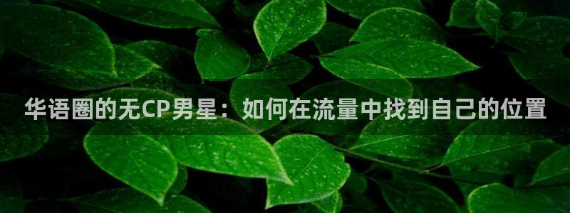 新宝5app官网：华语圈的无CP男星：如何在流量中找到自己的位置