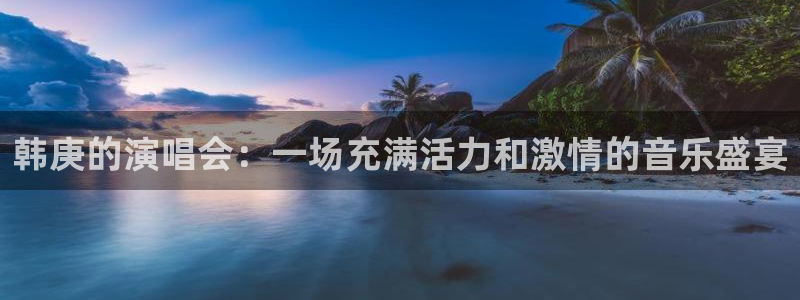 新宝5app下载：韩庚的演唱会：一场充满活力和激情的音乐盛宴