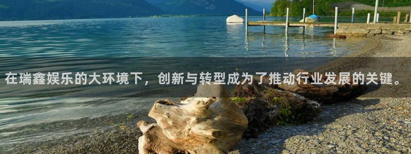 新宝5app下载安装：在瑞鑫娱乐的大环境下，创新与转型成为了推动行业发展的关键。